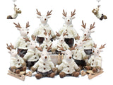 Christmas decoration，seasonal decoration