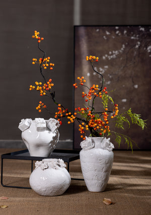 Christmas decoration，seasonal decoration